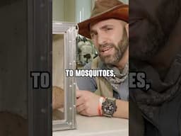 1000 MOSQUITOES vs Hand!