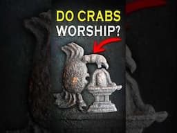 Why Do Animals Worship the Lingam?🕉️🙏