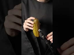 World's First Singing Pickle!