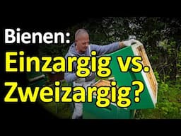 Bienen: Einzargige oder zweizargige Brutnest-Betriebsweise? DN, Zander, Langstroth oder Dadant?