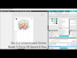 Silhouette Cameo How to Die Cut and Kiss Cut on the One Sticker