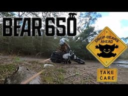 Royal Enfield Bear 650 Accessories and first Offroad Misadventures