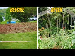 They Called My Yard a Waste... Now It's a Thriving Food Forest!