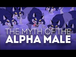 The Myth of the Alpha Male