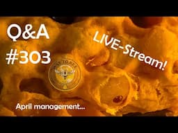 Backyard Beekeeping Q&A 303 LIVE Chat Friday the 25th of April