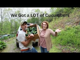 Unusual Grocery Trip