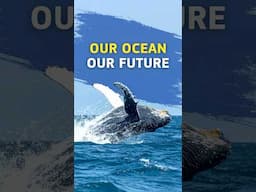 United Nations Ocean Conference 2025: Our Ocean, Our Future, Our Responsibility