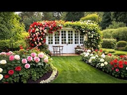 Stunning Garden Designs for Modern Living Part 2 - Small Garden
