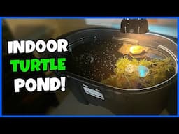Setting Up 100 Gal. TURTLE POND! (POPOSOAP Pond Pump Review)