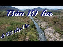 Chủ kẹt cần bán 19 héc đất chỉ 100 triệu 1 héc LH 0395507506