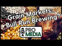 Bull Run Brewing in the Grain Markets?