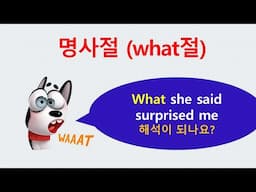 what 명사절.   명사의 종류 (5)