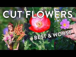 Ultimate Guide to Choosing Cut Flowers in Zones 9 & 10!