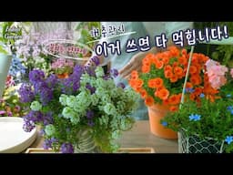 이거 쓰면 다 먹힙니다! /친환경 미생물 살충. 살균제 & 식물 영양제 공동구매 (이벤트 마감)