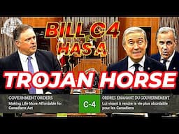 Bill C-4: Affordable Living or Voter Surveillance? Exposing the Fine Print