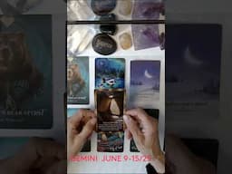 GEMINI ♊️ SHORT #tarot #tarotreading #tarotreader #horoscope #tarot #oracle #gemini