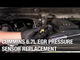 Cummins 6.7 EGR Pressure Sensor Replacement | Installation Spotlight
