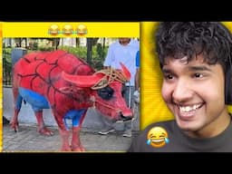 FUNNIEST BACKBENCHERS VS FRONTBENCHERS MEMES😂