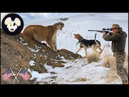 The Hidden Predator Crisis - Why  Are America's Most Controversial Farm Threat ?