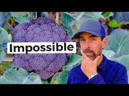 Growing Broccoli in the South is Impossible... Until You Learn This