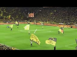 You'll Never Walk Alone - BVB vs Union Berlin #ynwa #bvb #dortmund #borussiadortmund