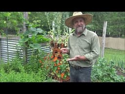 Garden Tower 2 Overall Opinion
