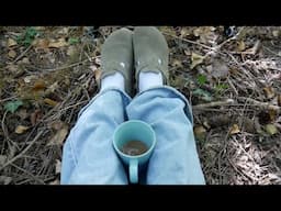 an afternoon in the woods