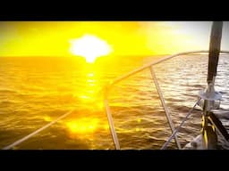 Surviving off the OCEAN while living aboard a SAILBOAT
