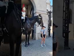 STEP BACK - HORSE MAY KICK OR BITE