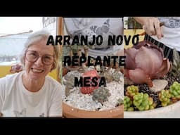 ARRANJO EM BACIA DE CIMENTO REPLANTE DA GRAPTOVERIA SUPER PRIMAVERA E MESA ENVERNIZADA (POLISTEIN)
