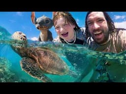 Crazy BEACH DAY in HAWAii - Sea Turtles, Boogie Board Surf, Family buried in sand like Lilo & Stitch