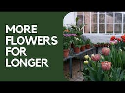 The Best Beginner Greenhouse Tips (that actually work!)
