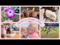 Weekly vlog! #southernyankee #weeklyvlog