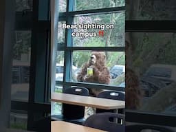 Bear sighting on campus! Best April Fools joke I've experienced LOL 🐻 #vancouver #aprilfools