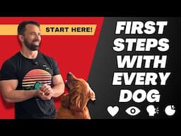 3 Things You Should NEVER Skip When Training Your Dog