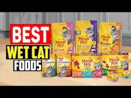 ✅Top 5 Best Wet Cat Foods in 2025