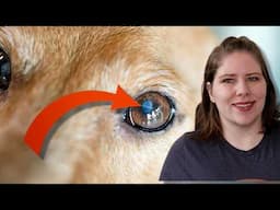 Aging Eyes: What You Need to Know About Lenticular Sclerosis