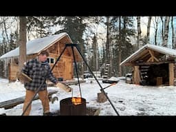 Man works on TINY cabin in the bush!