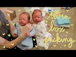 Send Home Reborn Twins with Me! Box Packing Reborn Babies I Made | Kelli Maple