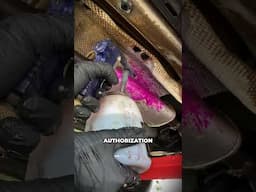 NEVER BUY ABANDONED CARS AT AUCTIONS! 🚫 #detailing #car
