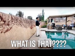 We Found THIS in Our Pool... This Was Unexpected 😱