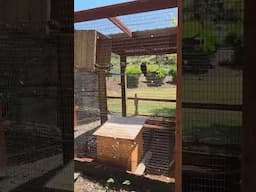 Wildlife safari train ride