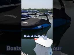 Boats at the Harbour #canada