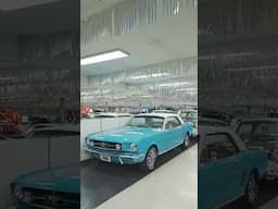 1965 Ford Mustang For Sale | Volo Museum V21851