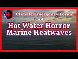 Hot Water Horror - Marine Heatwaves