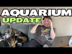 Saltwater tank updates