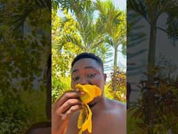 My Yard in Haiti 🇭🇹 #shorts #haiti #mangoes