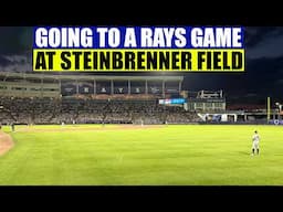 Going To A Tampa Bay Rays Game At George M Steinbrenner Field