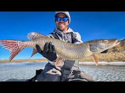 Late Ice Pike Fishing