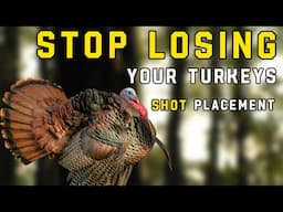 Stop Losing Your Turkeys | Proper Turkey Shot Placement With A Bow